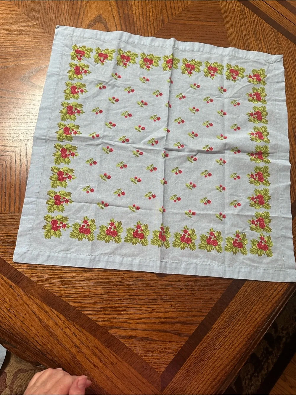 Light Blue Floral Cotton Dinner Napkins - Set of 4